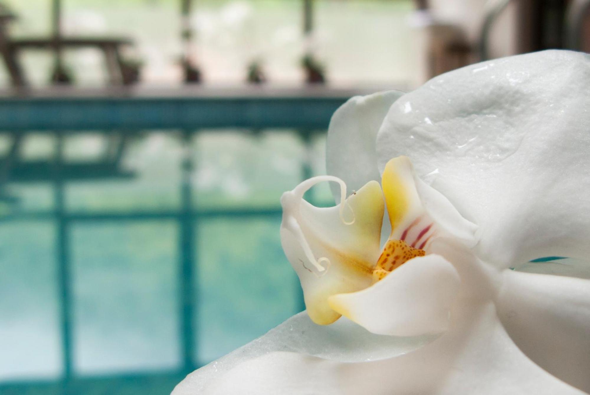 Aqua Varvara Hotel Vetren Dol Экстерьер фото